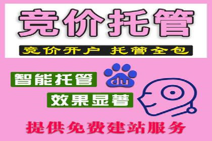 探索专业SEM托管的奥秘：从案例看效果